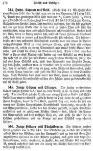 Deutsches_Kochbuch_1873.djvu # 234