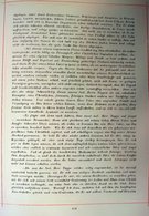 Familienbuch-Tappen.djvu # 164