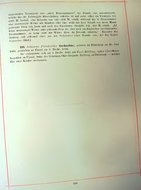 Familienbuch-Tappen.djvu # 204