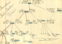 Genealogie-Weiss-Posen-ab-1764.djvu # 40