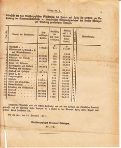Ghzglhess regbl 1882.djvu # 217