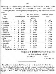 Grossherzoglich Hessisches Regierungsblatt 1819.djvu # 114