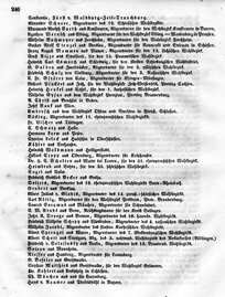 Grossherzoglich Hessisches Regierungsblatt 1849.djvu # 246