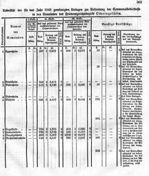Grossherzoglich Hessisches Regierungsblatt 1849.djvu # 310