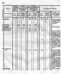 Grossherzoglich Hessisches Regierungsblatt 1849.djvu # 311