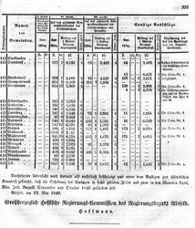 Grossherzoglich Hessisches Regierungsblatt 1849.djvu # 330