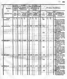 Grossherzoglich Hessisches Regierungsblatt 1849.djvu # 412