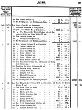 Grossherzoglich Hessisches Regierungsblatt 1851.djvu # 391