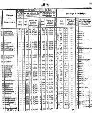 Grossherzoglich Hessisches Regierungsblatt 1851.djvu # 41