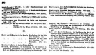 Grossherzoglich Hessisches Regierungsblatt 1851.djvu # 482