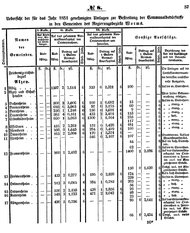 Grossherzoglich Hessisches Regierungsblatt 1851.djvu # 57
