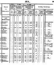 Grossherzoglich Hessisches Regierungsblatt 1851.djvu # 59