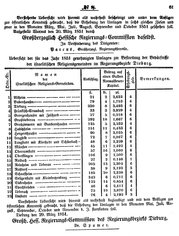 Grossherzoglich Hessisches Regierungsblatt 1851.djvu # 61