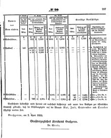 Grossherzoglich Hessisches Regierungsblatt 1853.djvu # 237