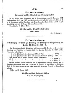 Grossherzoglich Hessisches Regierungsblatt 1853.djvu # 45