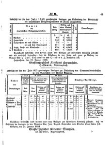 Grossherzoglich Hessisches Regierungsblatt 1853.djvu # 47