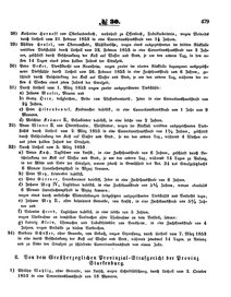 Grossherzoglich Hessisches Regierungsblatt 1853.djvu # 479