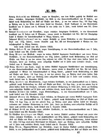 Grossherzoglich Hessisches Regierungsblatt 1853.djvu # 481