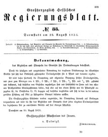 Grossherzoglich Hessisches Regierungsblatt 1853.djvu # 501