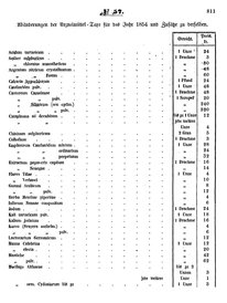 Grossherzoglich Hessisches Regierungsblatt 1853.djvu # 811