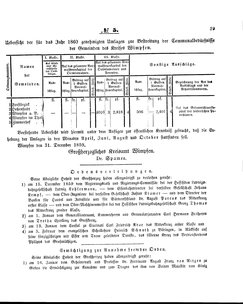 Grossherzoglich Hessisches Regierungsblatt 1860.djvu # 39
