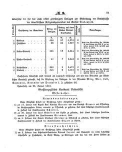 Grossherzoglich Hessisches Regierungsblatt 1860.djvu # 75