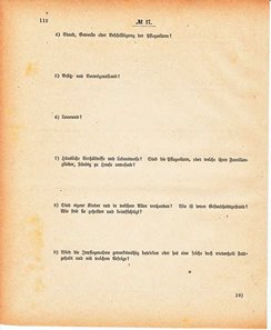 Grossherzoglich Hessisches Regierungsblatt 1880.djvu # 113