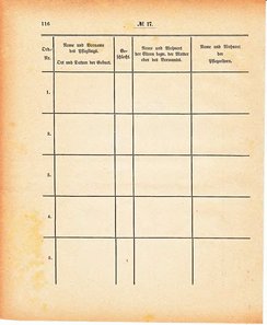 Grossherzoglich Hessisches Regierungsblatt 1880.djvu # 117