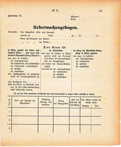 Grossherzoglich Hessisches Regierungsblatt 1880.djvu # 120