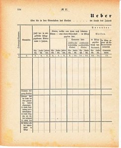 Grossherzoglich Hessisches Regierungsblatt 1880.djvu # 125