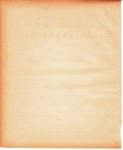 Grossherzoglich Hessisches Regierungsblatt 1880.djvu # 127