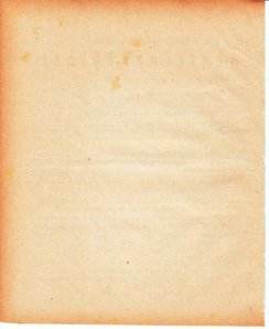 Grossherzoglich Hessisches Regierungsblatt 1880.djvu # 131