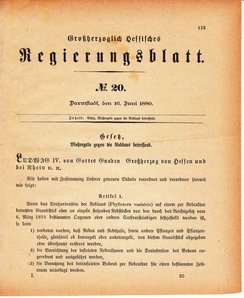 Grossherzoglich Hessisches Regierungsblatt 1880.djvu # 136