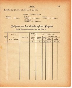 Grossherzoglich Hessisches Regierungsblatt 1880.djvu # 176
