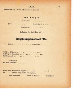 Grossherzoglich Hessisches Regierungsblatt 1880.djvu # 200