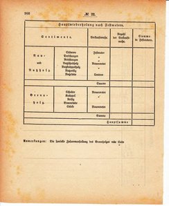 Grossherzoglich Hessisches Regierungsblatt 1880.djvu # 203