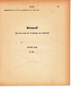 Grossherzoglich Hessisches Regierungsblatt 1880.djvu # 208