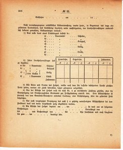 Grossherzoglich Hessisches Regierungsblatt 1880.djvu # 209