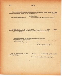 Grossherzoglich Hessisches Regierungsblatt 1880.djvu # 217
