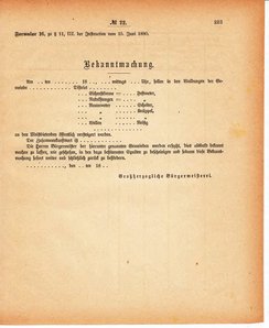Grossherzoglich Hessisches Regierungsblatt 1880.djvu # 224