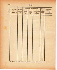 Grossherzoglich Hessisches Regierungsblatt 1880.djvu # 225