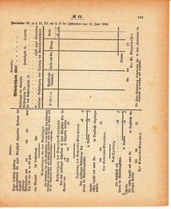 Grossherzoglich Hessisches Regierungsblatt 1880.djvu # 230