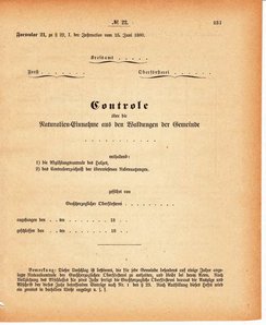 Grossherzoglich Hessisches Regierungsblatt 1880.djvu # 232