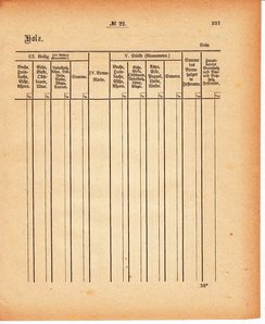 Grossherzoglich Hessisches Regierungsblatt 1880.djvu # 238