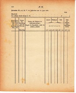 Grossherzoglich Hessisches Regierungsblatt 1880.djvu # 241