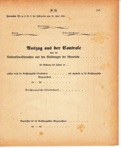 Grossherzoglich Hessisches Regierungsblatt 1880.djvu # 242