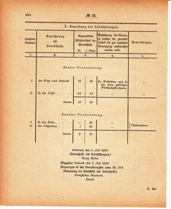 Grossherzoglich Hessisches Regierungsblatt 1880.djvu # 265