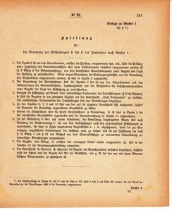 Grossherzoglich Hessisches Regierungsblatt 1880.djvu # 268