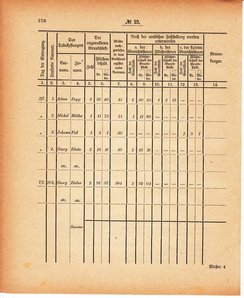 Grossherzoglich Hessisches Regierungsblatt 1880.djvu # 271
