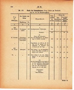 Grossherzoglich Hessisches Regierungsblatt 1880.djvu # 287